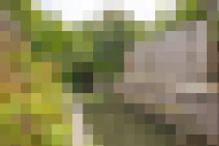 Hobostraat 4 Arkel thumbnail 37