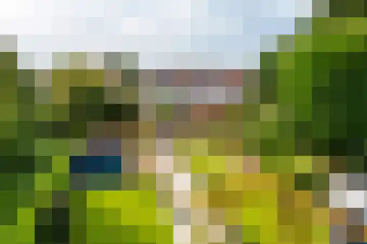 Hobostraat 4 Arkel thumbnail 43