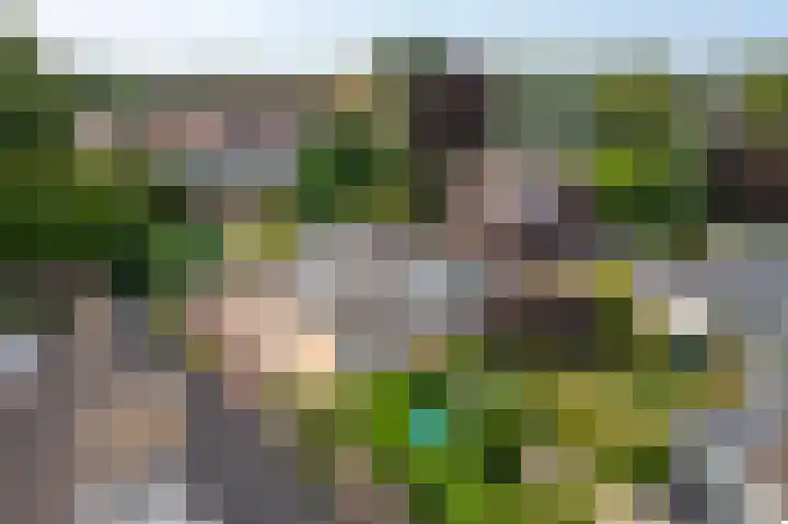 Hobostraat 4 Arkel thumbnail 46