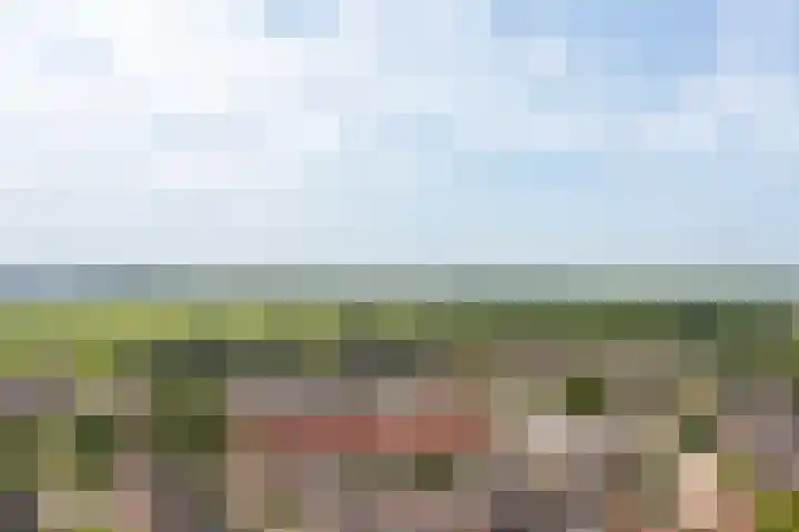Hobostraat 4 Arkel thumbnail 47