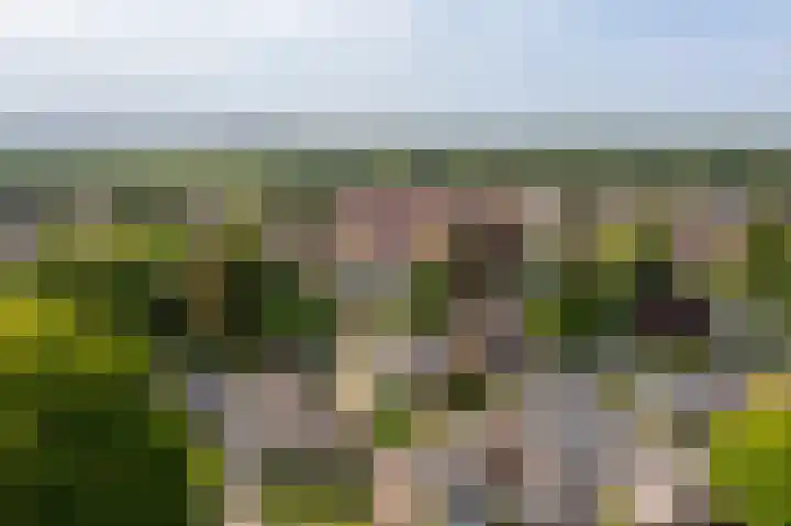 Hobostraat 4 Arkel thumbnail 48