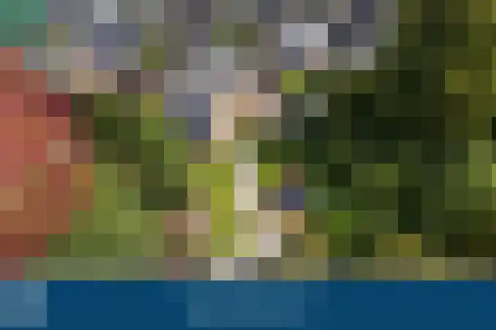Hobostraat 4 Arkel thumbnail 5