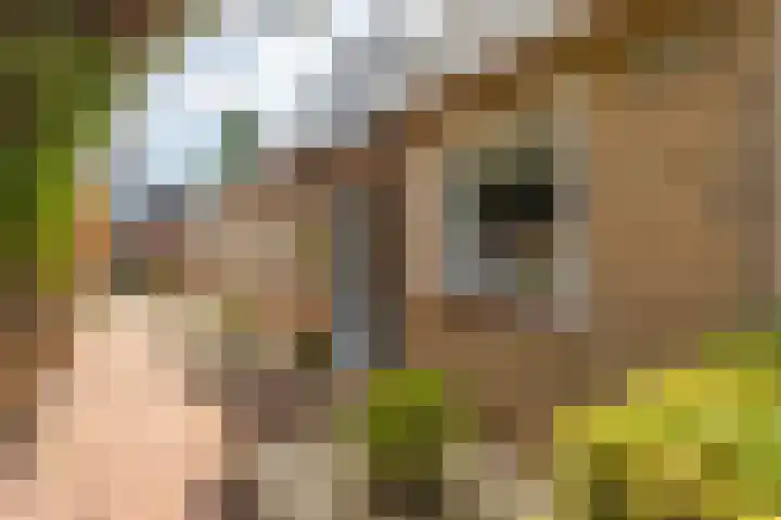 Hobostraat 4 Arkel thumbnail 6