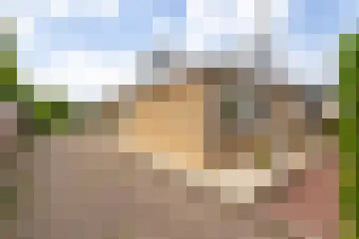 Hobostraat 4 Arkel thumbnail 7
