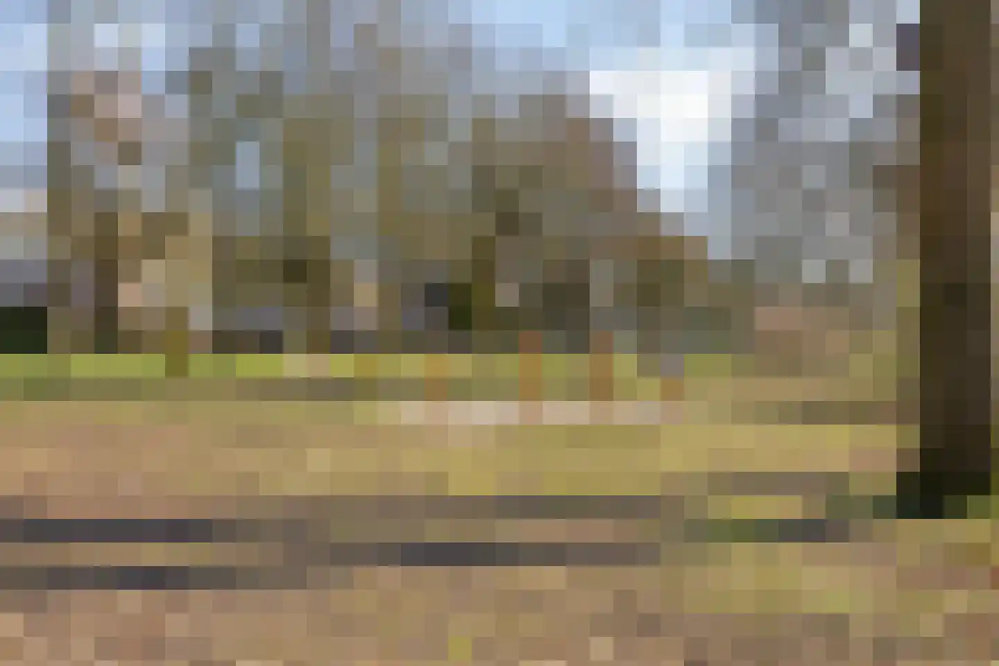 Hobostraat 5 Helmond thumbnail 23