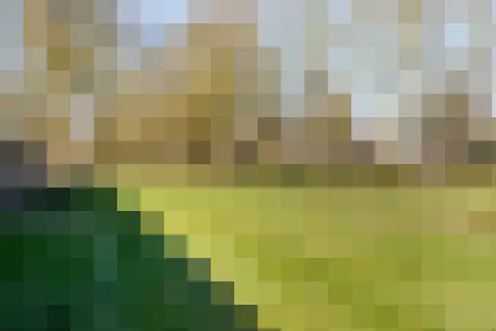 Hobostraat 5 Helmond thumbnail 27