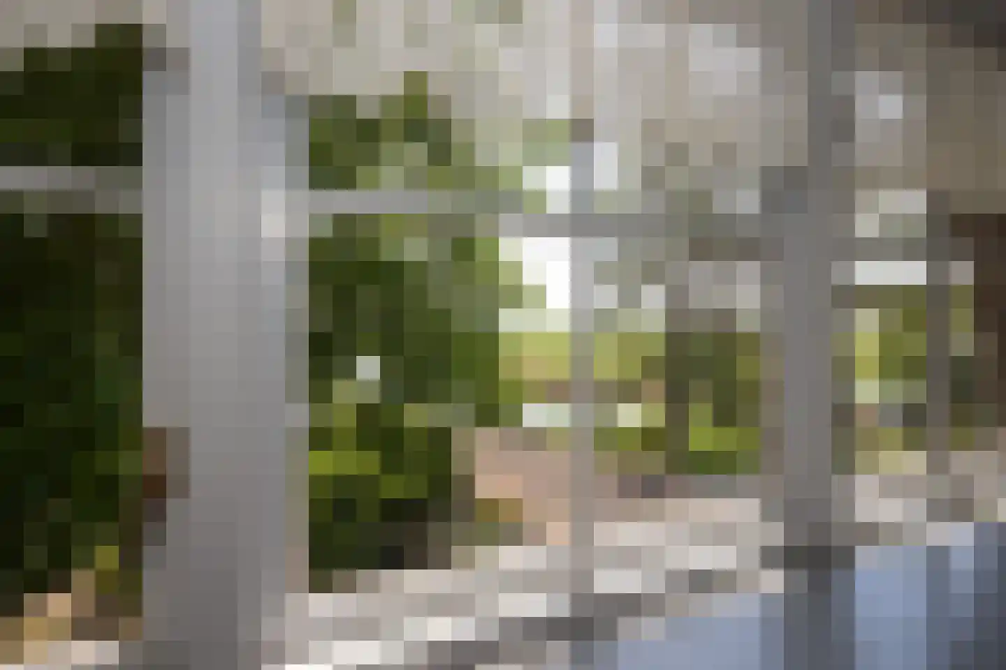 Hobrede 39 Hobrede thumbnail 36