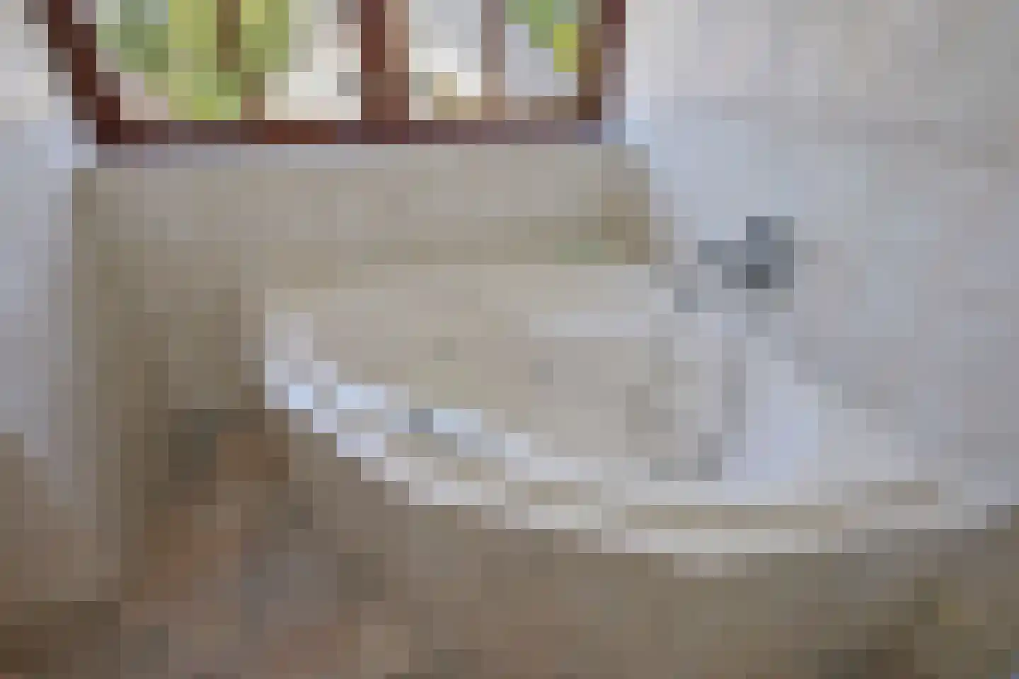 Hobrede 39 Hobrede thumbnail 47