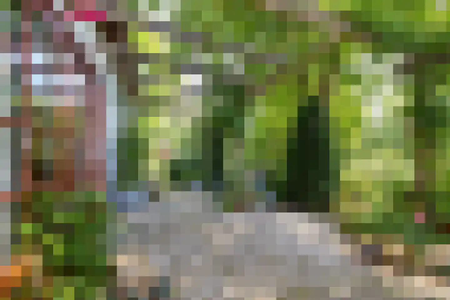 Hobrede 39 Hobrede thumbnail 51