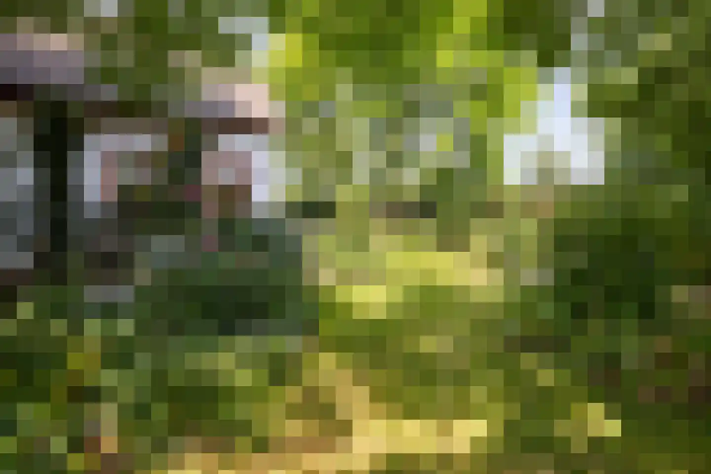Hobrede 39 Hobrede thumbnail 55