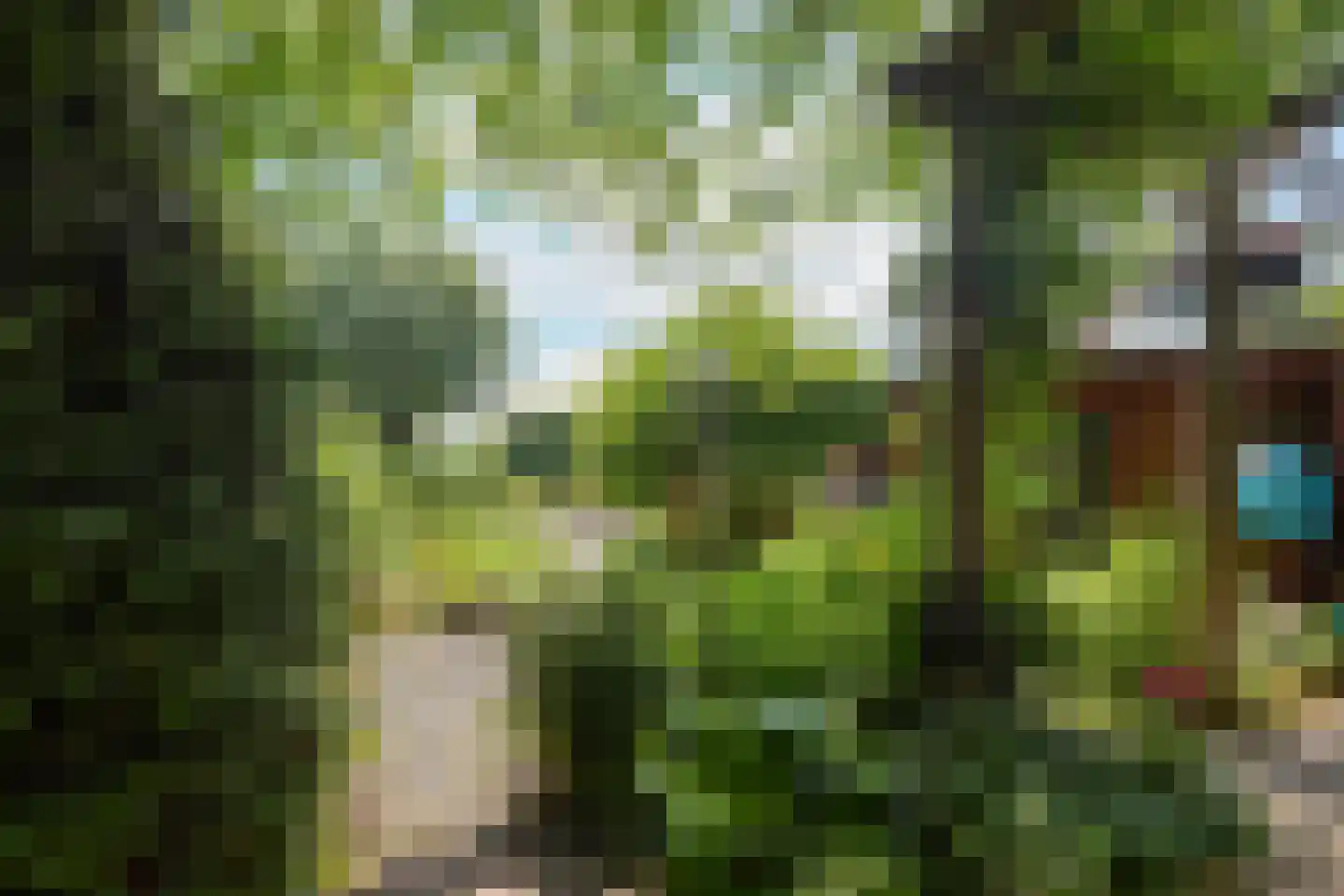 Hobrede 39 Hobrede thumbnail 56