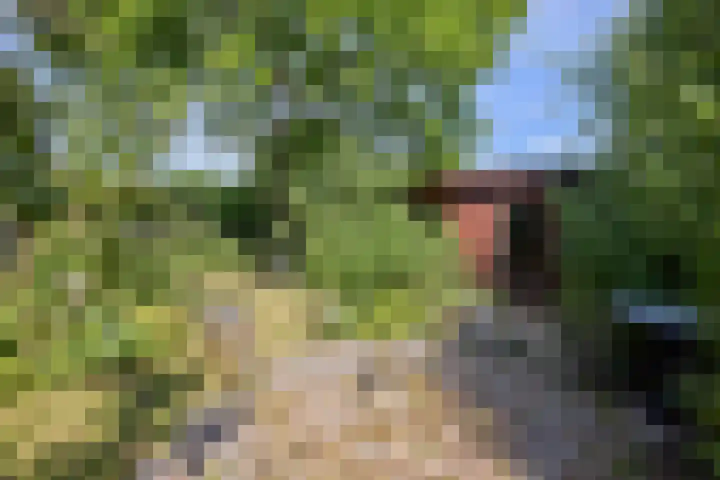 Hobrede 39 Hobrede thumbnail 57