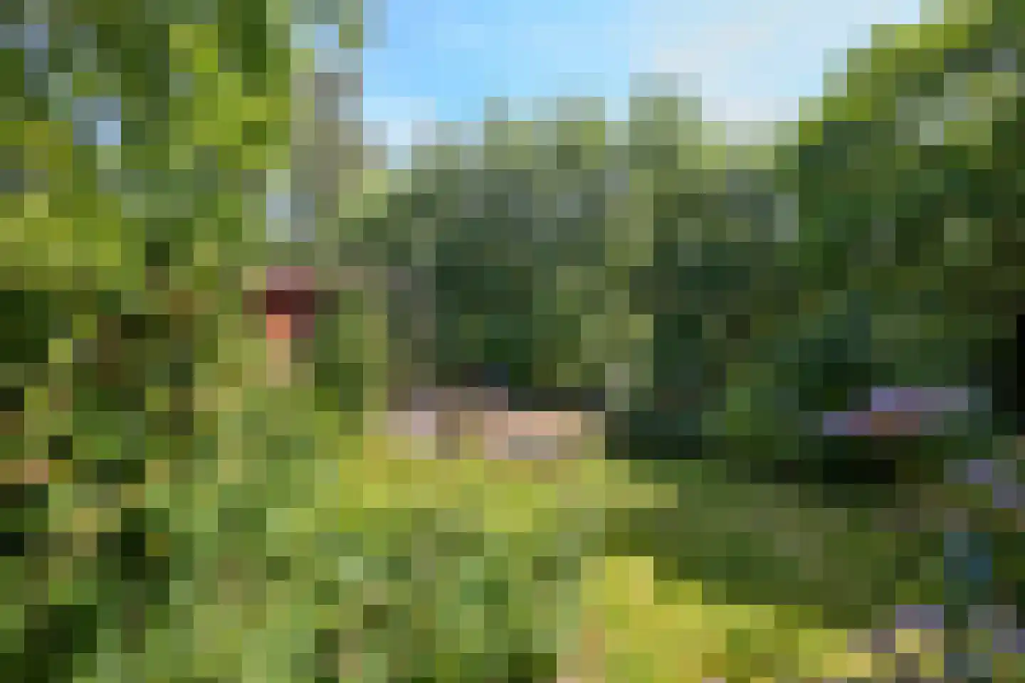 Hobrede 39 Hobrede thumbnail 58