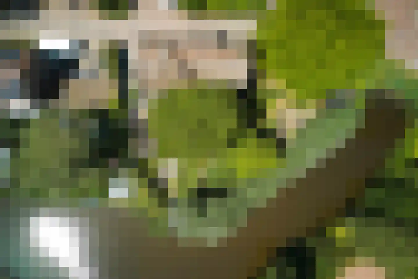 Hobrede 39 Hobrede thumbnail 6