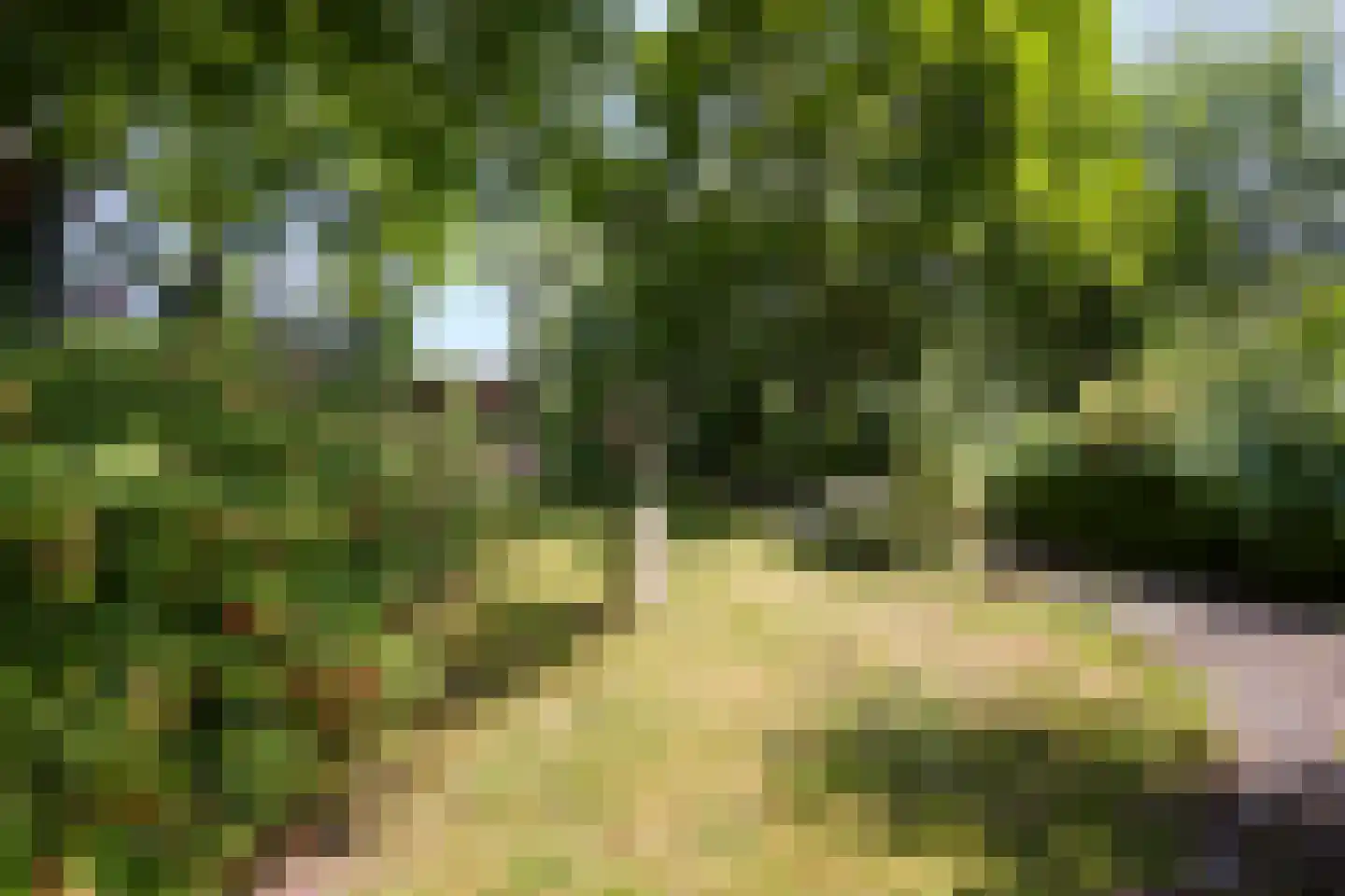Hobrede 39 Hobrede thumbnail 60