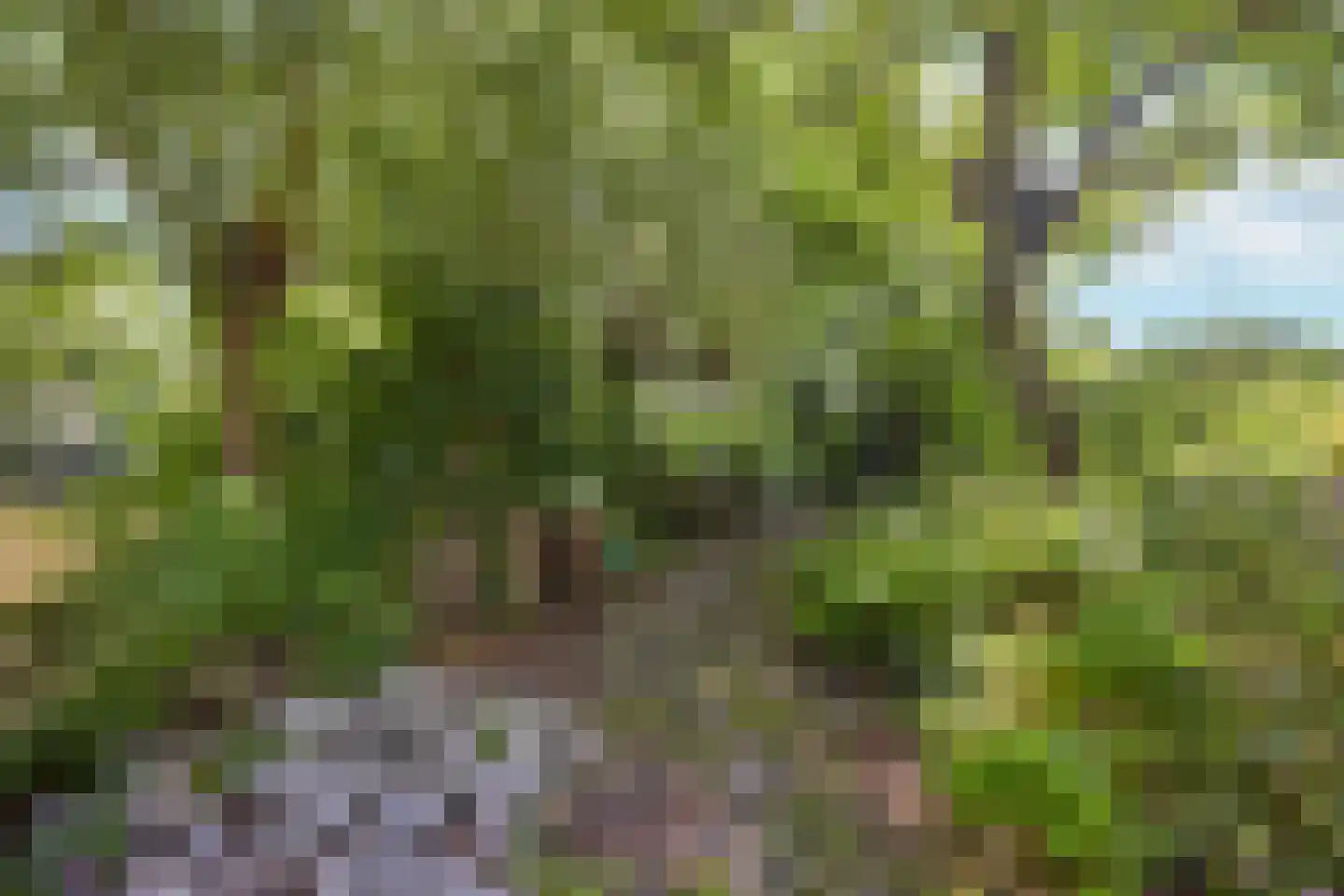 Hobrede 39 Hobrede thumbnail 61