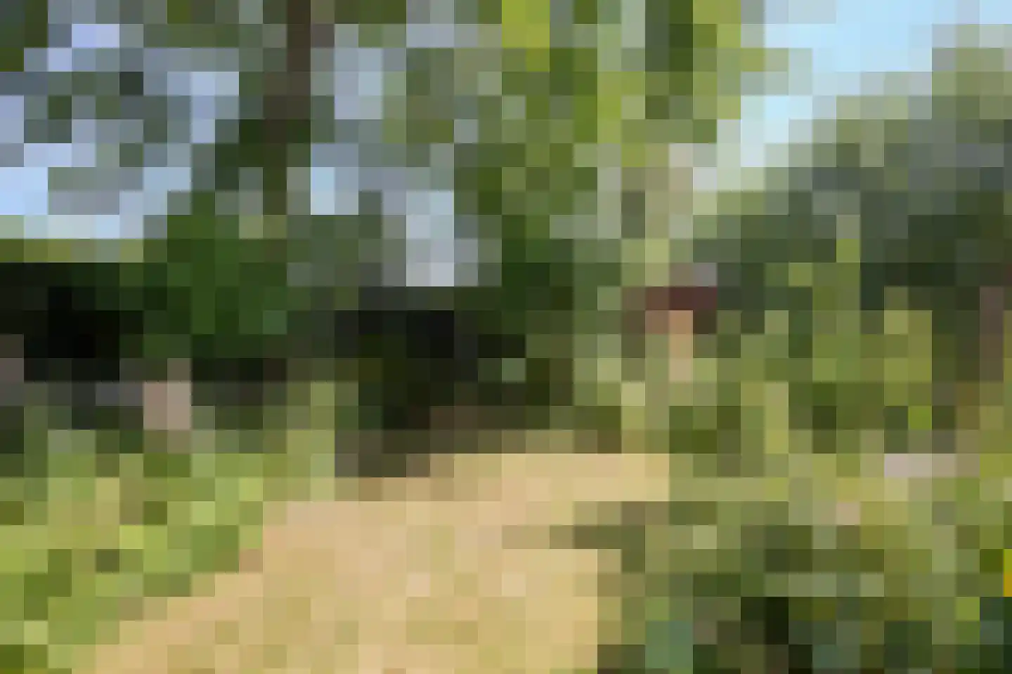 Hobrede 39 Hobrede thumbnail 62