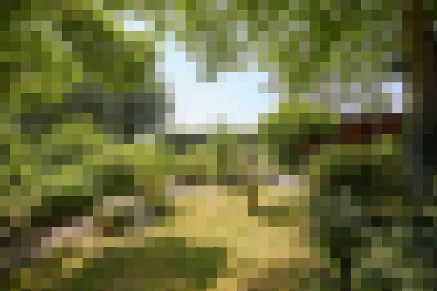 Hobrede 39 Hobrede thumbnail 63