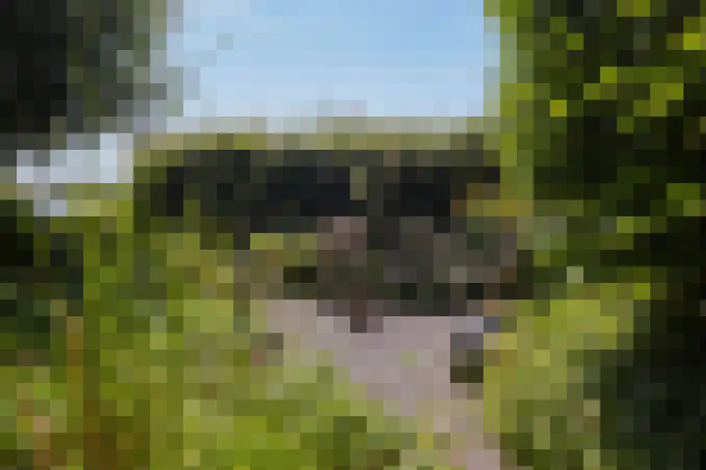 Hobrede 39 Hobrede thumbnail 64