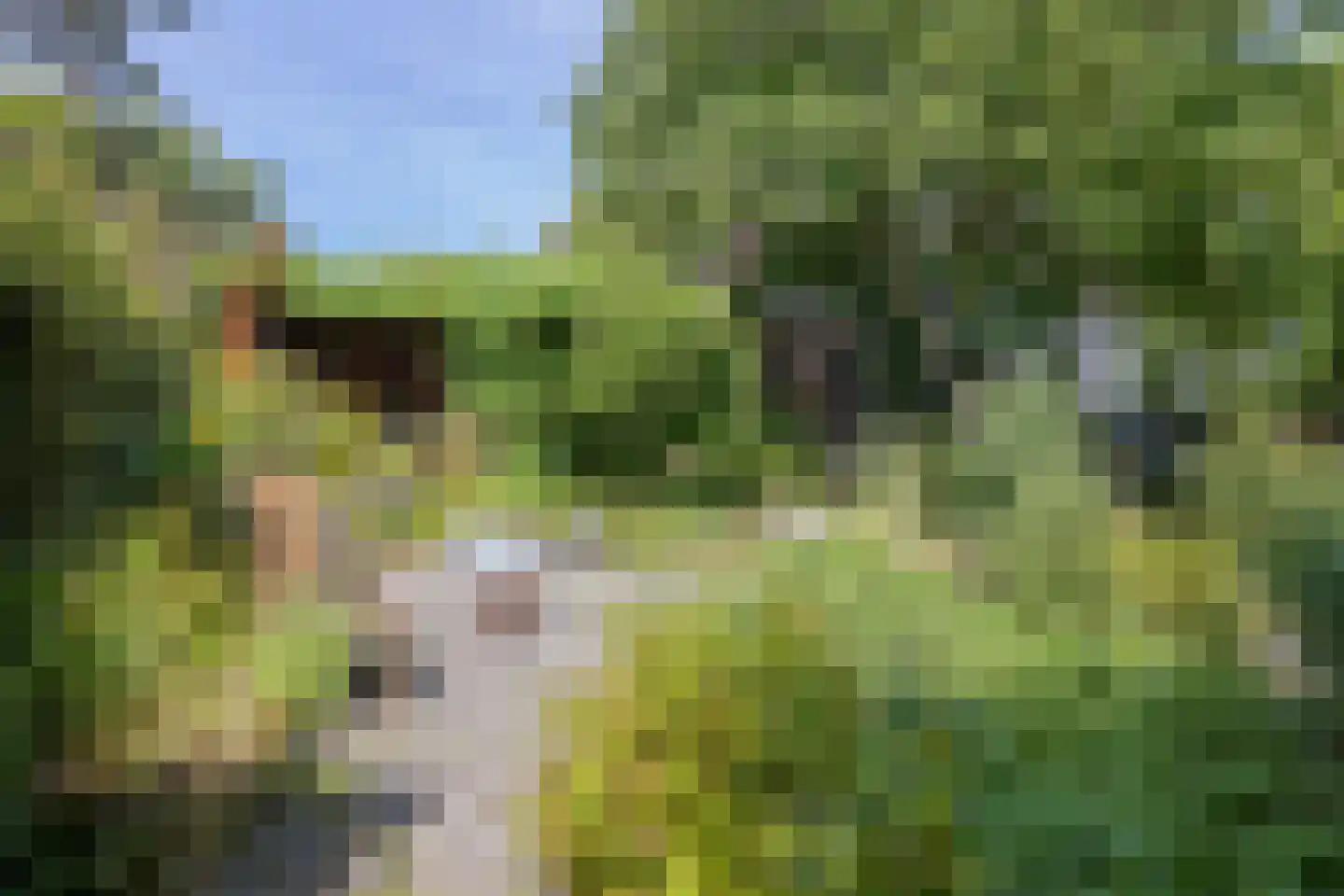 Hobrede 39 Hobrede thumbnail 65