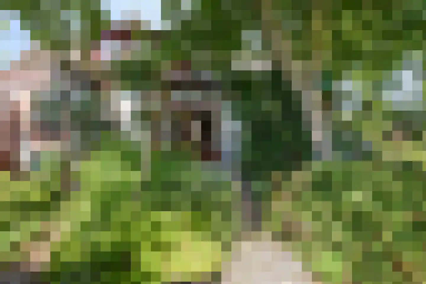 Hobrede 39 Hobrede thumbnail 68