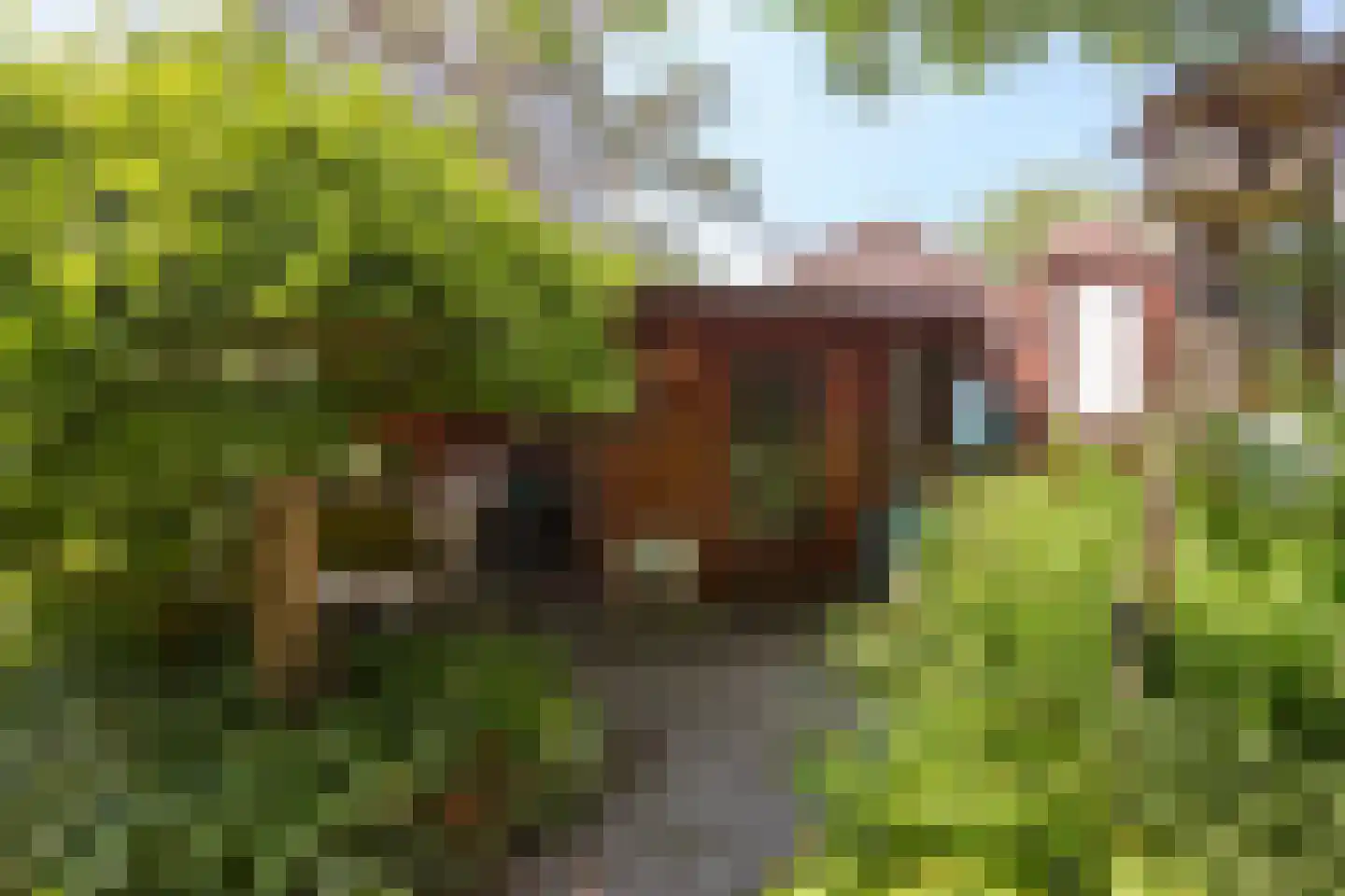 Hobrede 39 Hobrede thumbnail 69