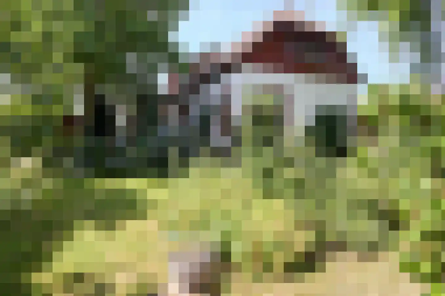 Hobrede 39 Hobrede thumbnail 71