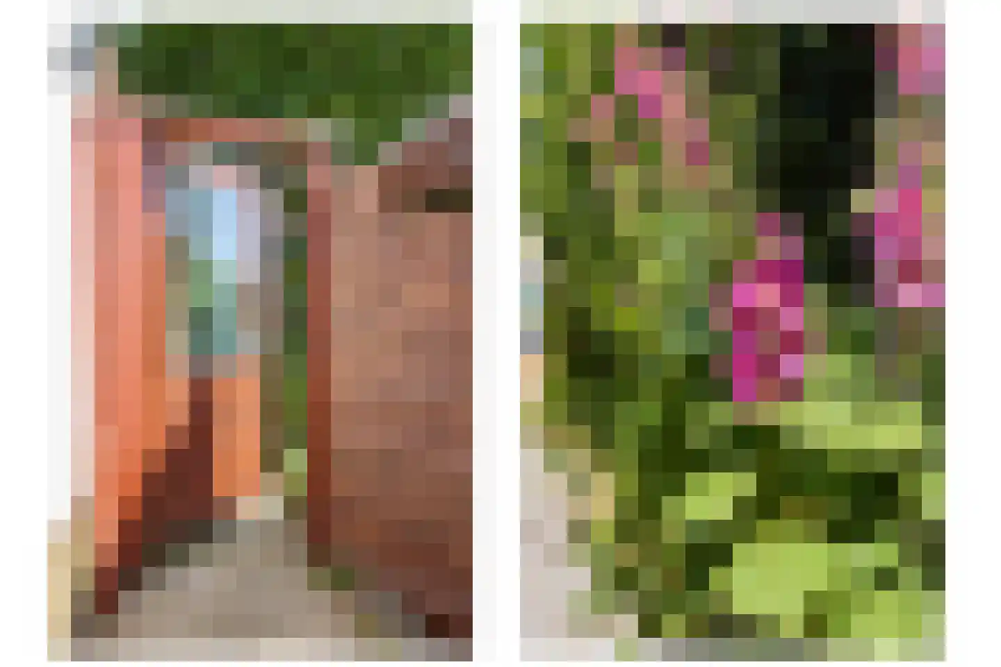 Hobrede 39 Hobrede thumbnail 72