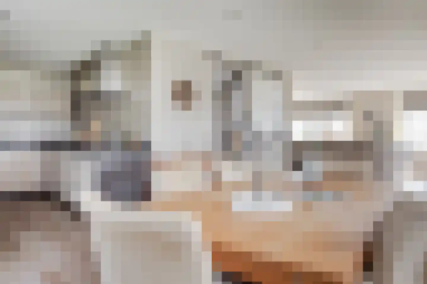 Hobrederweg 38 Middenbeemster thumbnail 10