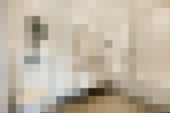 Höckerkade 22 Heemstede thumbnail 17