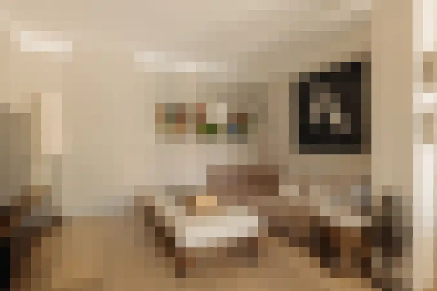 Hodenpijlkade 44 Amsterdam thumbnail 16