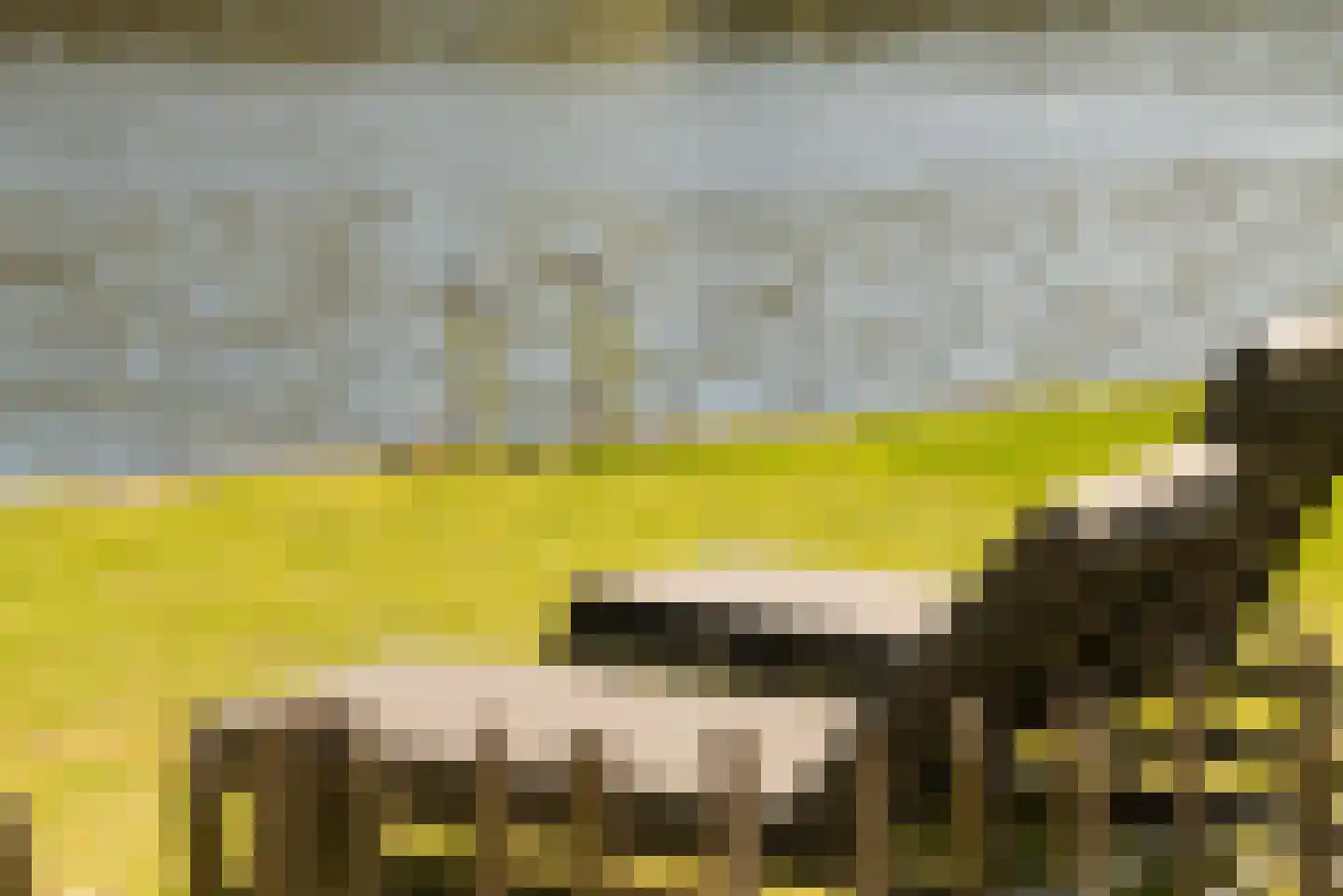 Hodenpijlkade 44 Amsterdam thumbnail 23