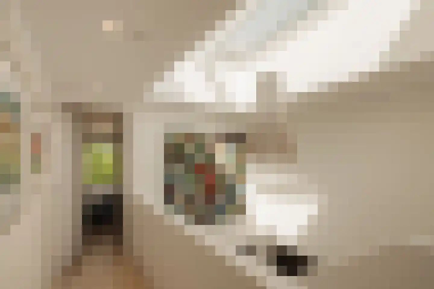 Hodenpijlkade 44 Amsterdam thumbnail 31