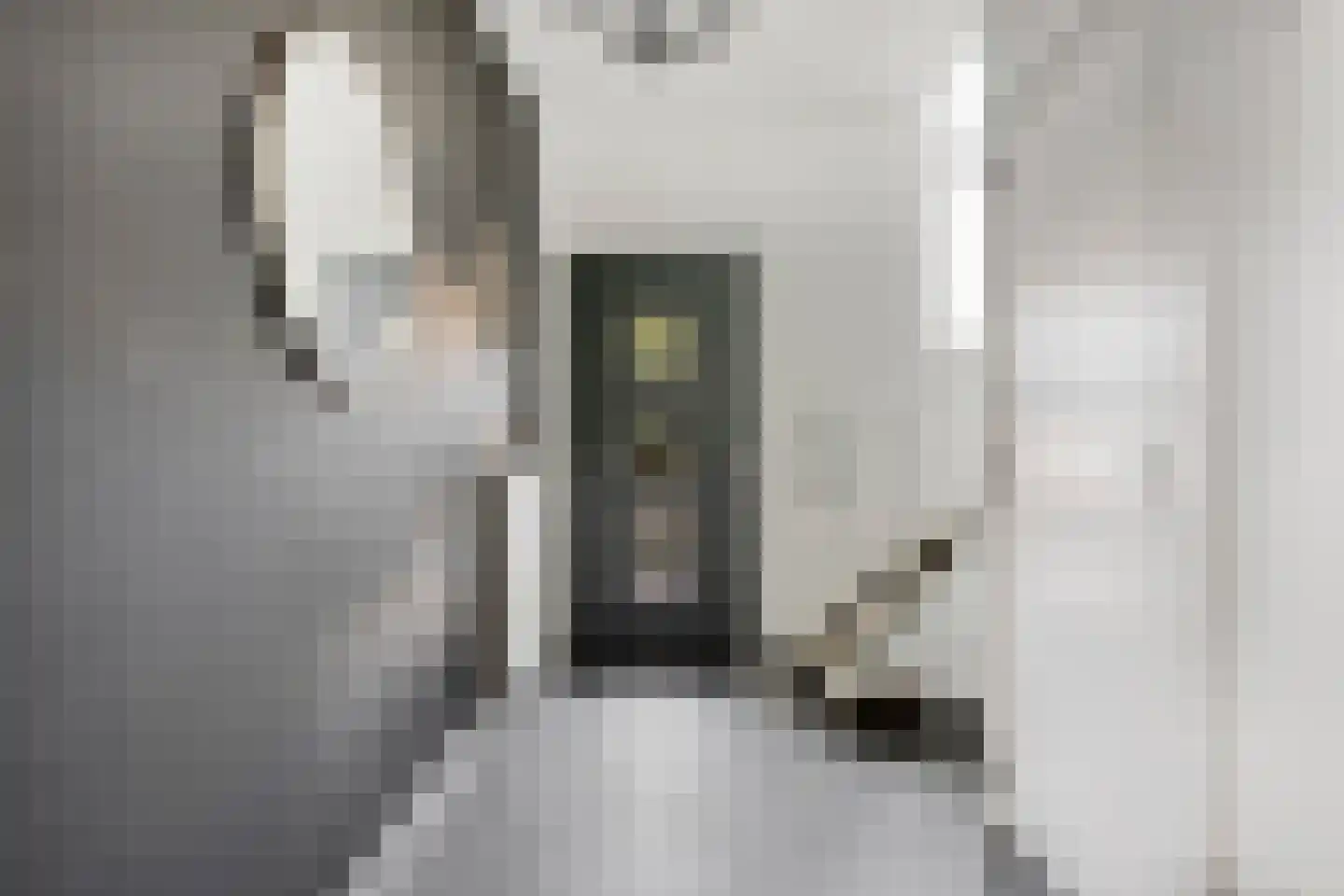 Hoebertweg 3 Venray thumbnail 6