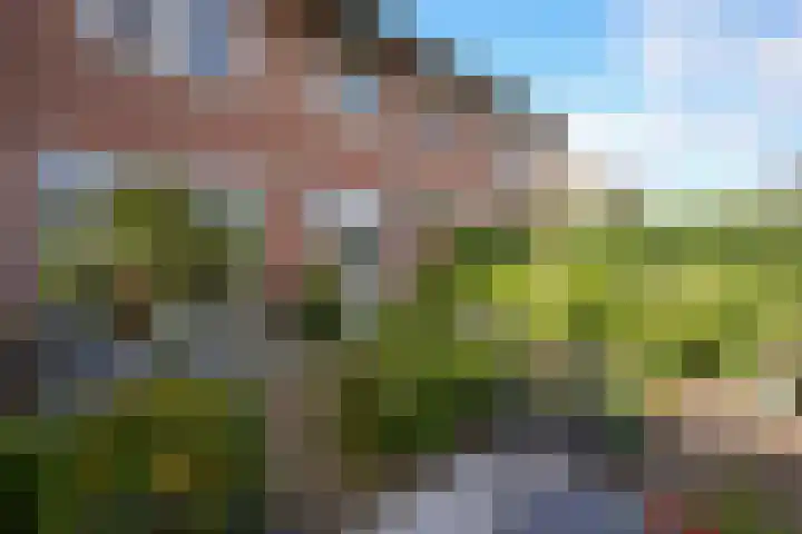 Hoebigerweg 31 Eys thumbnail 23