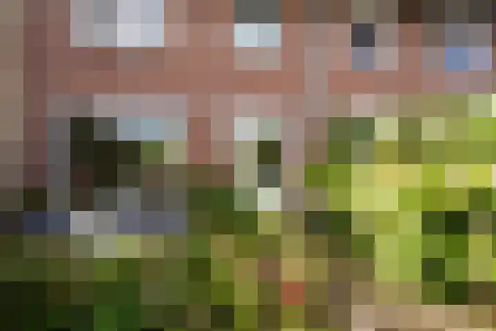 Hoebigerweg 31 Eys thumbnail 24