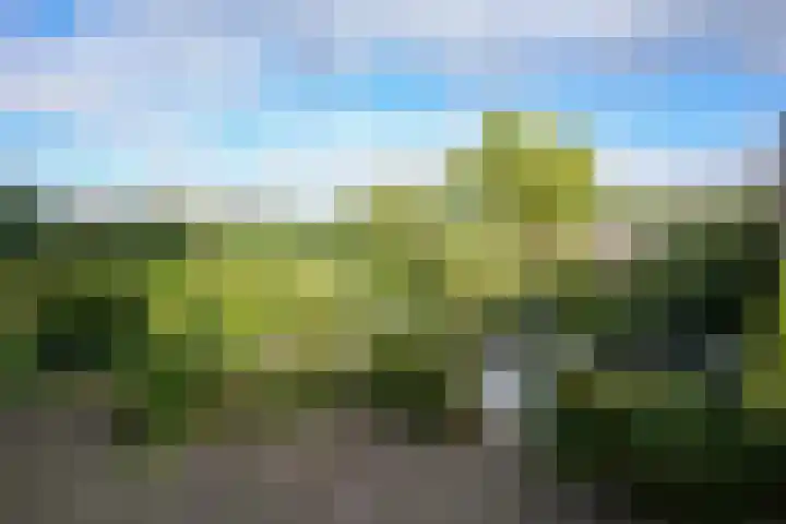 Hoebigerweg 31 Eys thumbnail 26
