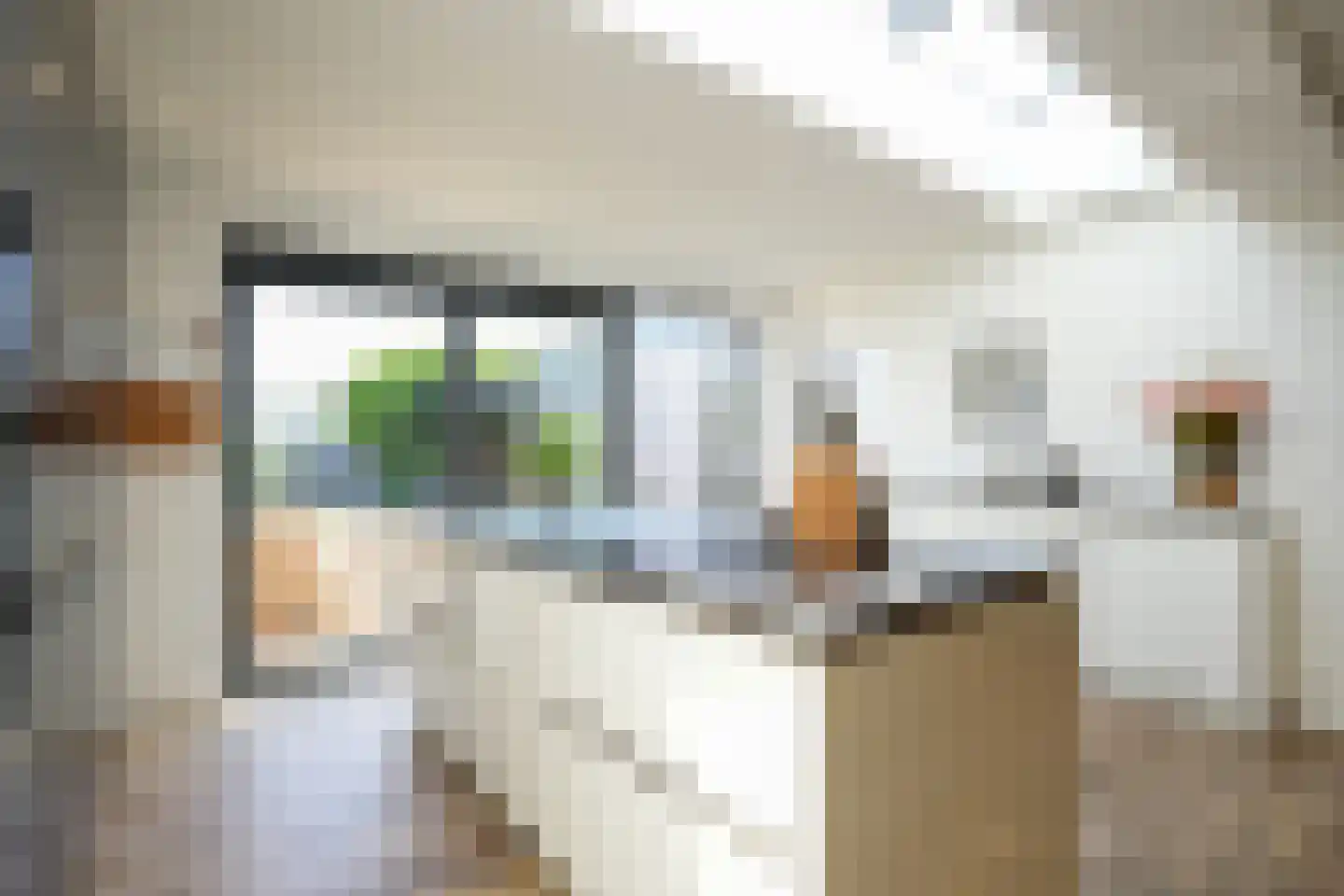 Hoebigerweg 55 Eys thumbnail 9