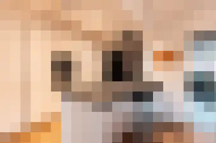Hoeckelsweg 41 Doornspijk thumbnail 10
