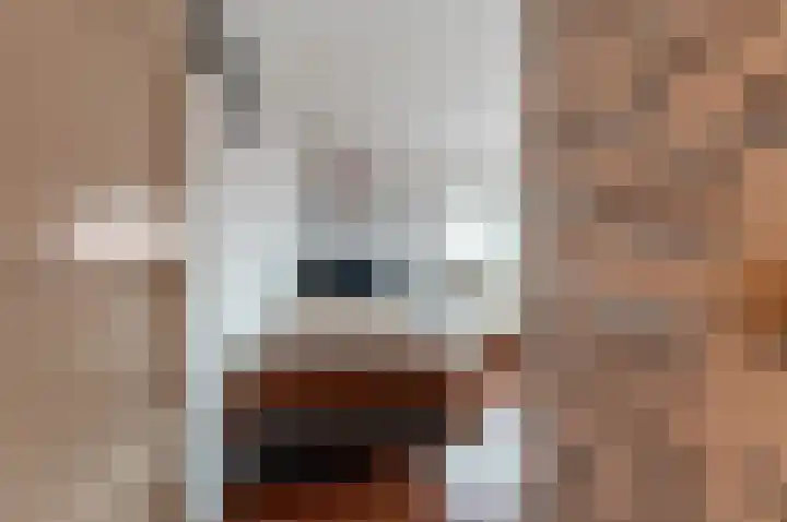 Hoeckelsweg 41 Doornspijk thumbnail 19