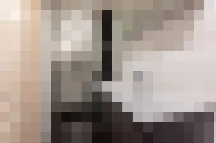 Hoeckelsweg 41 Doornspijk thumbnail 26