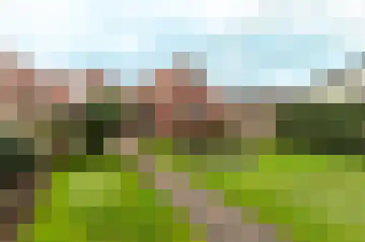 Hoeckelsweg 41 Doornspijk thumbnail 31