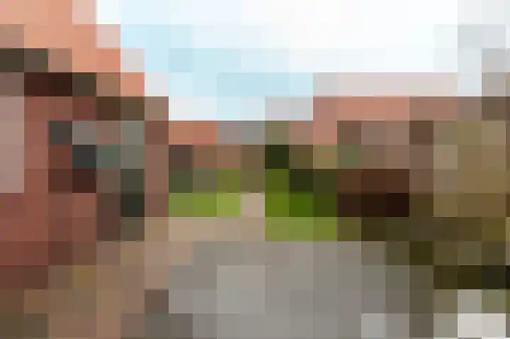 Hoeckelsweg 41 Doornspijk thumbnail 36