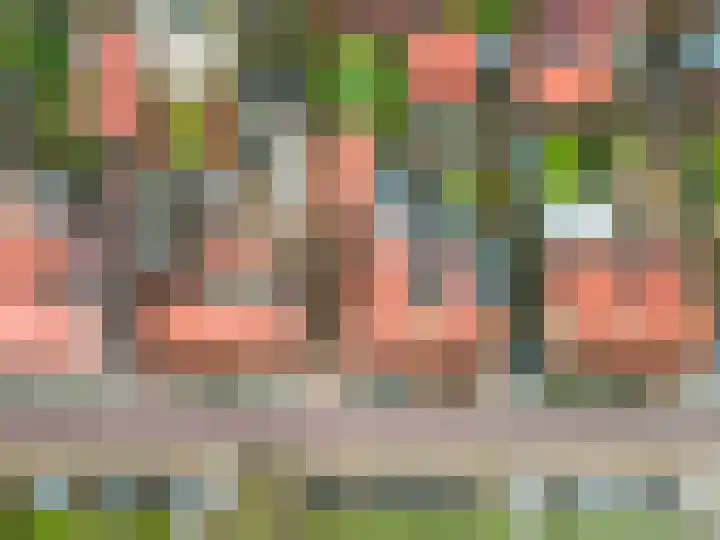 Hoeckelsweg 41 Doornspijk thumbnail 39