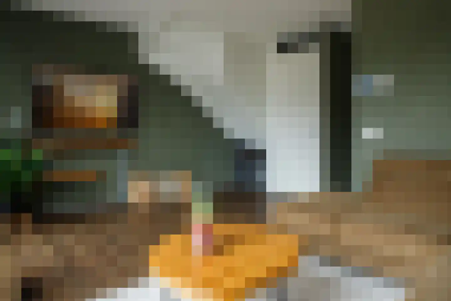 Hoeckelsweg 90 Doornspijk thumbnail 6