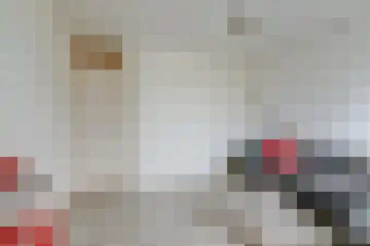 Hoeckelumstraat 21 Nijmegen thumbnail 29