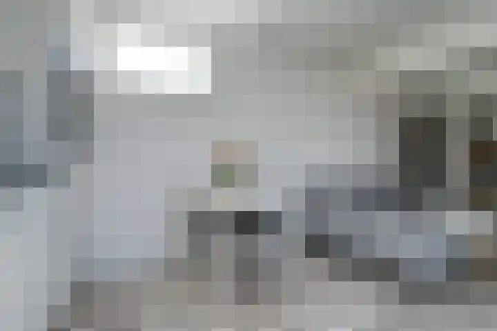 Hoeckelumstraat 21 Nijmegen thumbnail 7