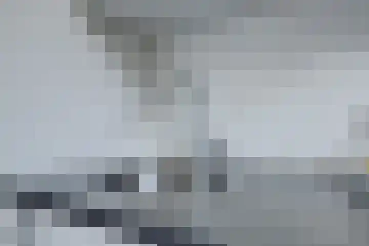 Hoeckelumstraat 21 Nijmegen thumbnail 9