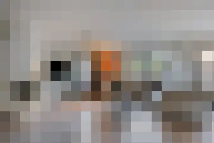 Hoeckenburg 3 Oss thumbnail 7