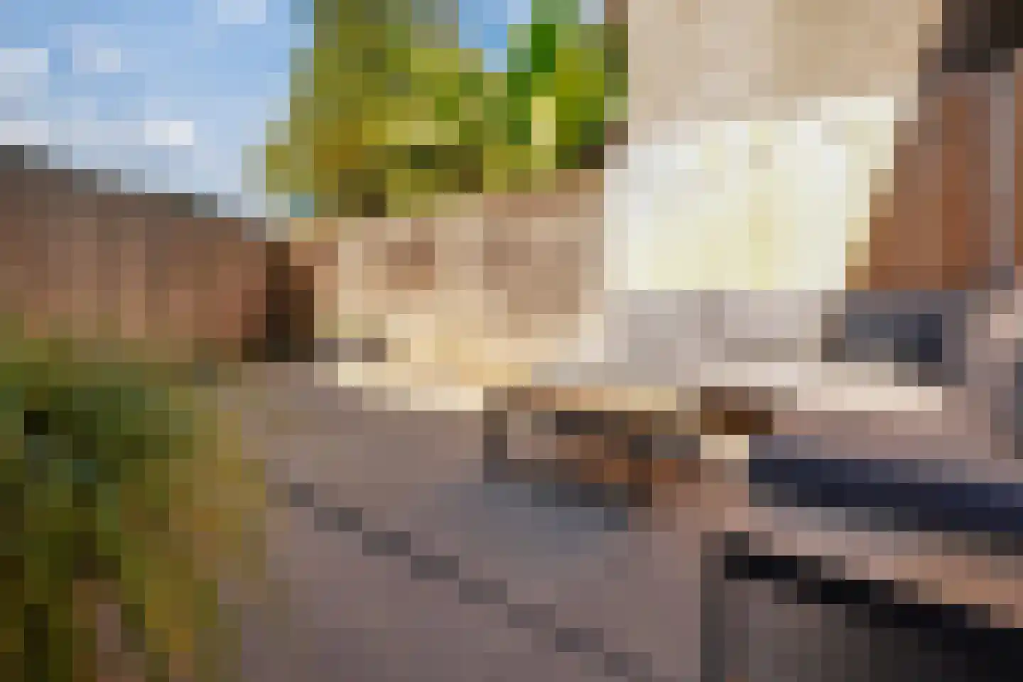 Hoedekenskerkestraat 13 Arnhem thumbnail 5